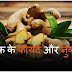अदरक के फायदे और नुकसान/Ginger Benefits and Side Effects in Hindi