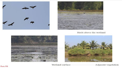 Tampara Lake freshwater lakes Odisha Facts In Brief