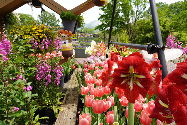 鳥取県西伯郡南部町鶴田 とっとり花回廊 エントランス展示