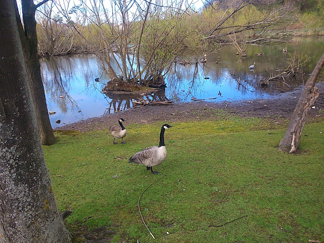 Lochend Park Mindful Walking