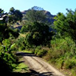 View album