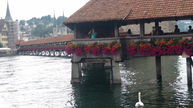 the flower bridge diagonally crossing the lake