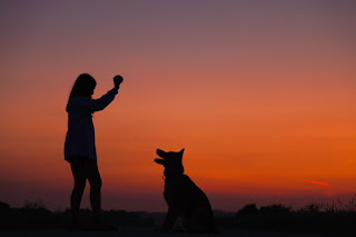 A woman playing with a dog against the sunset