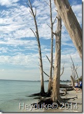 Lovers Lane SP FL 023