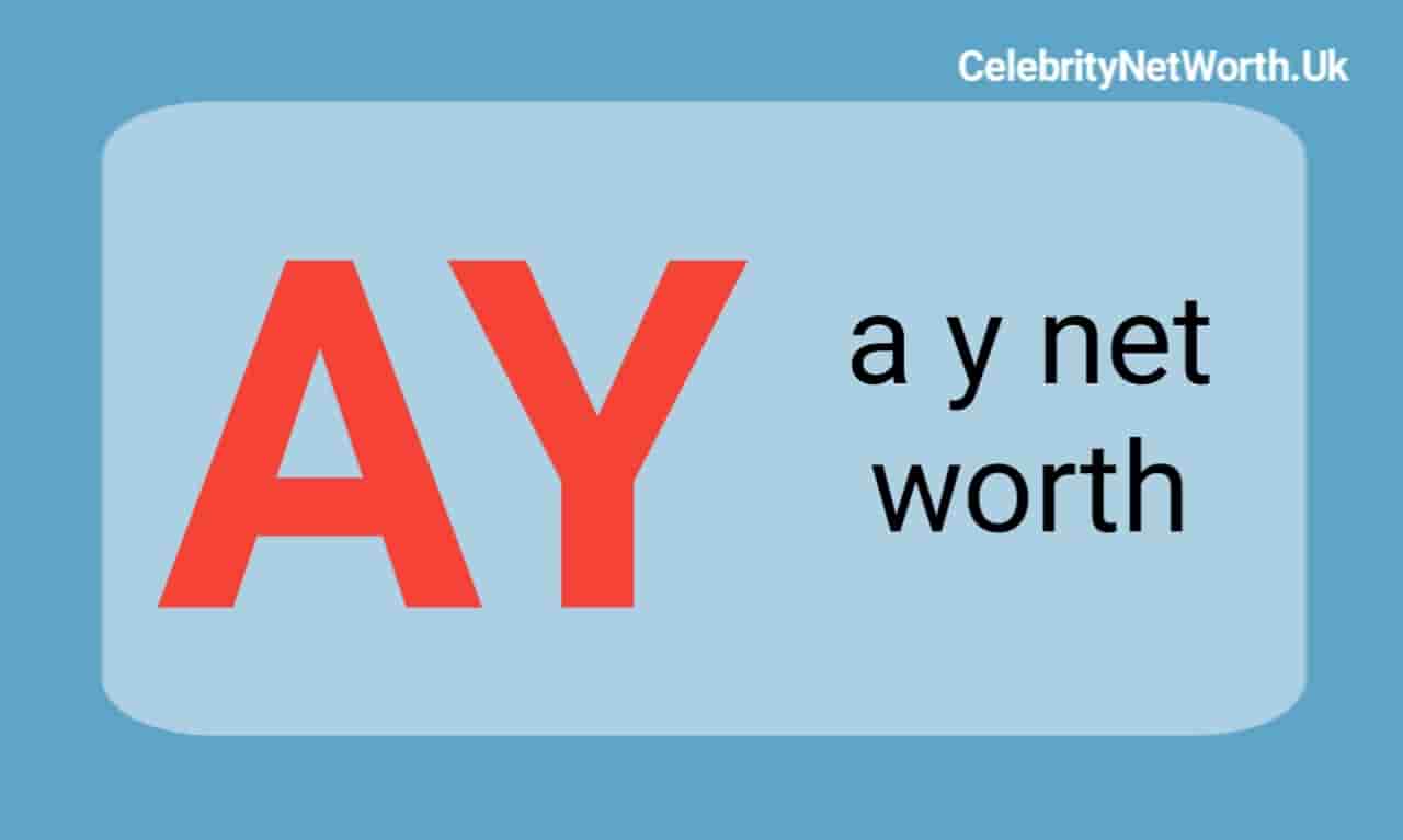 a y net worth | Celebrity Net Worth