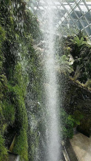 gardens by the bay cloud forest waterfall view