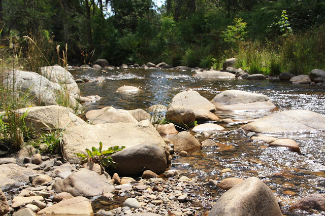 Delatite River at Mirimbah Park