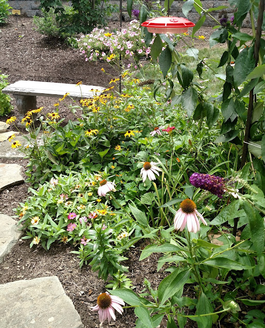 butterfly/hummingbird garden