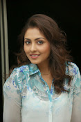 Madhu shalini glam pics-thumbnail-22