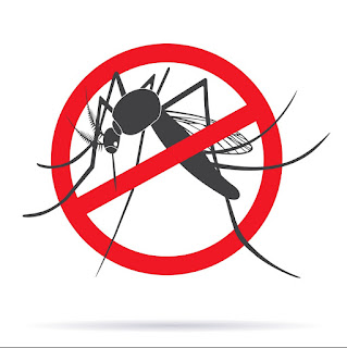 By Means Of Mosquito Solution Control Systems Is The Best Safety Measure