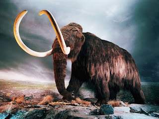 Woolly Mammoth Wallpapers