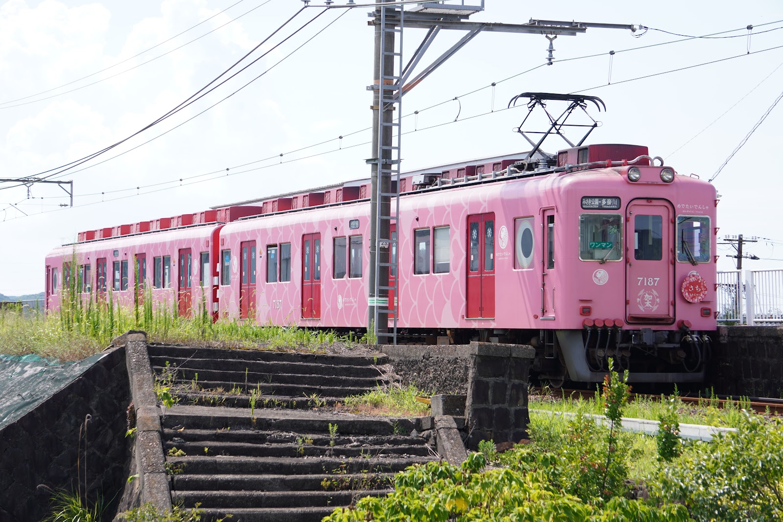 めでたいでんしゃ さち 深日町駅