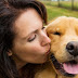 The habit of kissing a pet can be caused stomach cancer