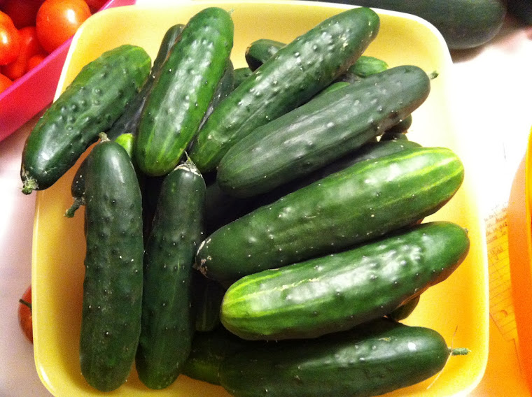 Cucumbers