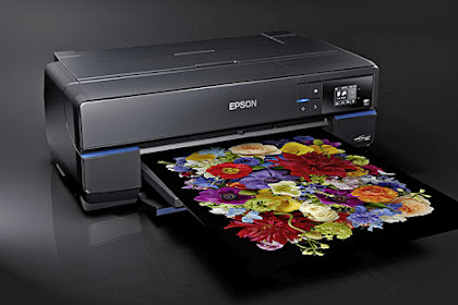 Epson SureColor SC-P800 Driver Download