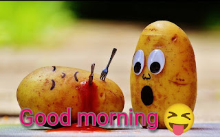 Best 96 Funny Good Morning Images Status Download in Hindi