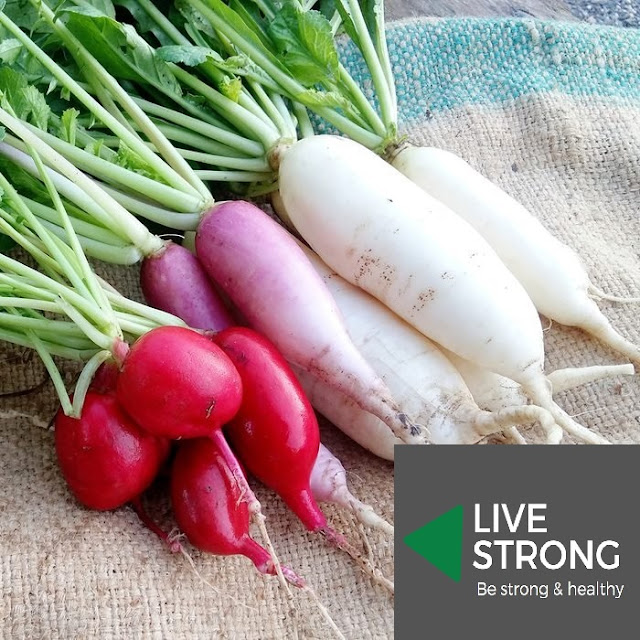 High Fiber Radishes