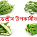 Health Benefits of Ladyfinger (Bhindi)