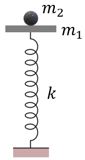 Con lắc lò xo thẳng đứng