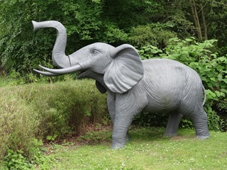 2016.05.24-032 éléphant sur le parcours de la rivière enchantée