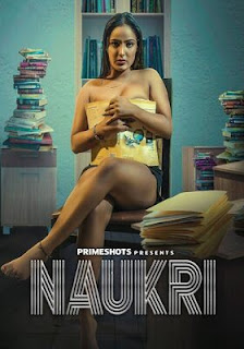 Naukri 2023 PrimeShots Complete Hindi