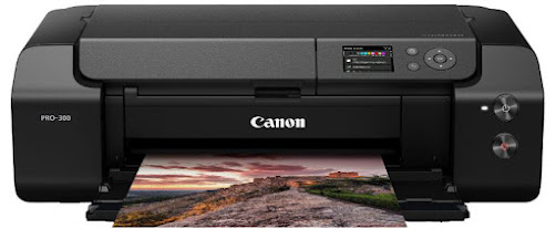 Canon Printers for Photographers / Home Users : Canon imagePROGRAF PRO-300 Inkjet Printer