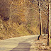 In the Autumn Colored Countryside