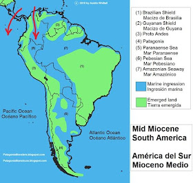 South America during the Mid Miocene
