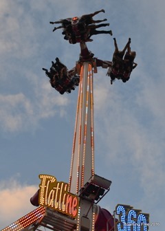 Hanging upside-down!