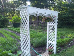 2012-07-10 18.47.06