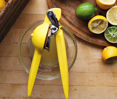 Chefn Citrus Juicer –