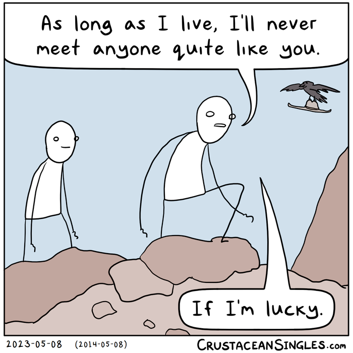 Two stick figures walk across a rocky red desert landscape. The one at the front says, "As long as I live, I'll never meet anyone quite like you." then adds, "If I'm lucky." Unrelatedly, a black bird flies in the sky with a cowboy hat clutched in its claws.