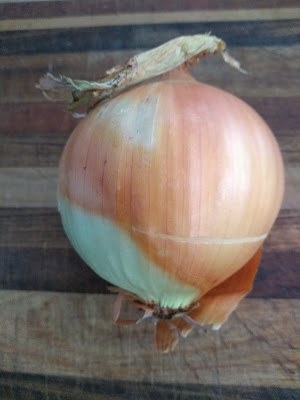 Tearless brown onion Australia