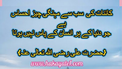  Hazrat ali quotes