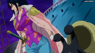 ワンピースアニメ パンクハザード編 579話 たしぎ | ONE PIECE Episode 579