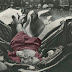 Evelyn Francis McHale "El suicidio mas hermoso"