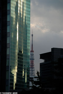 The tower and a building