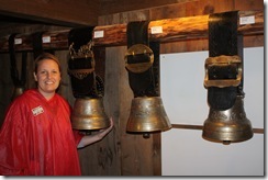day 7 swiss open air museum (21)