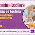 COMPRENSIÓN LECTORA ESTRATEGIAS DE LECTURA (ECE)