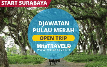 Open Trip Banyuwangi Start Surabaya Djawatan Pulau Merah