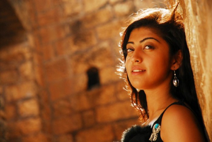 pranitha new , pranitha spicy unseen pics