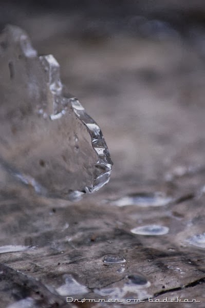 DSC_0683