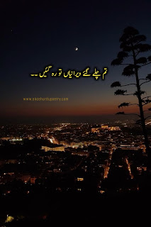 One line captions in urdu for Instagram one line poetry in urdu