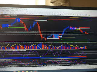 accelerating profits review