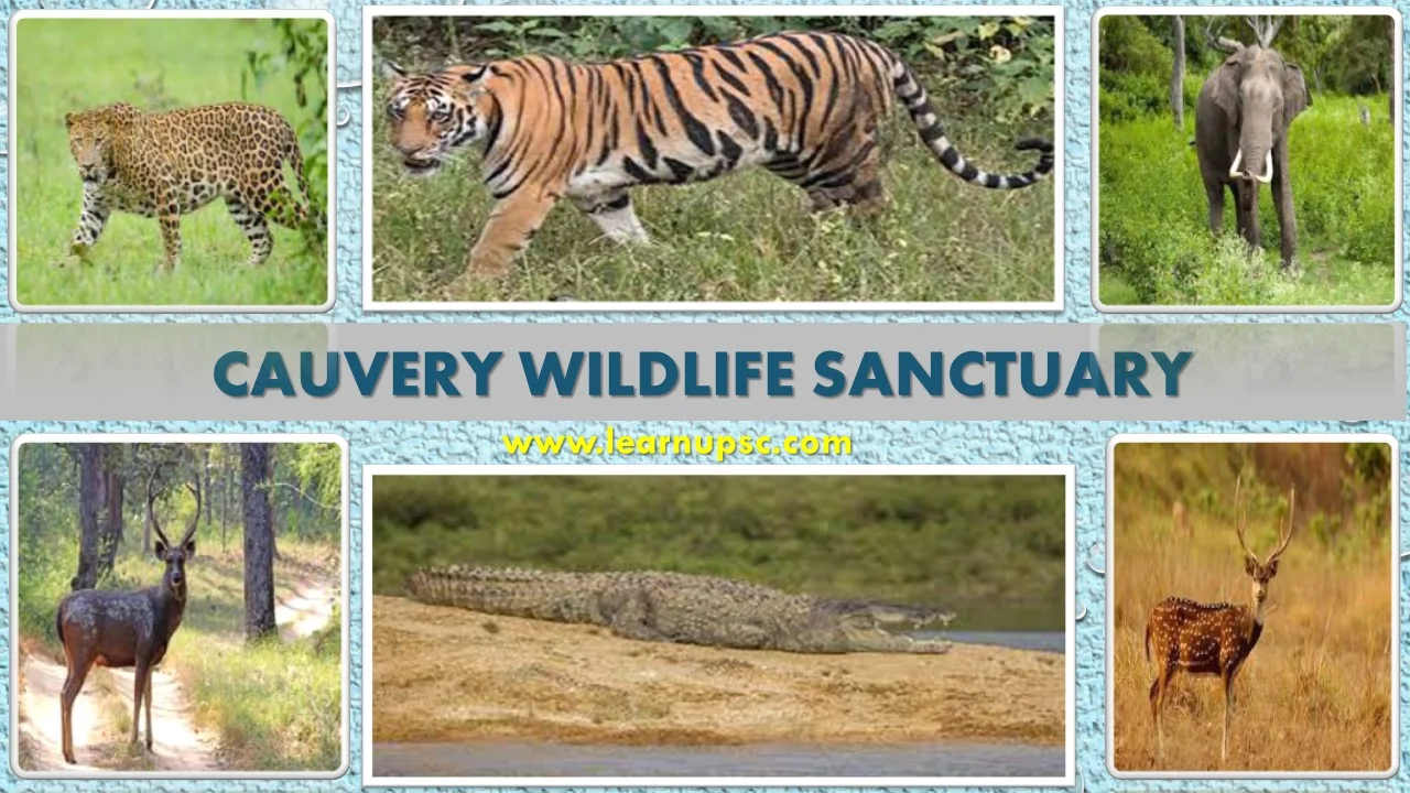 Cauvery Wildlife Sanctuary