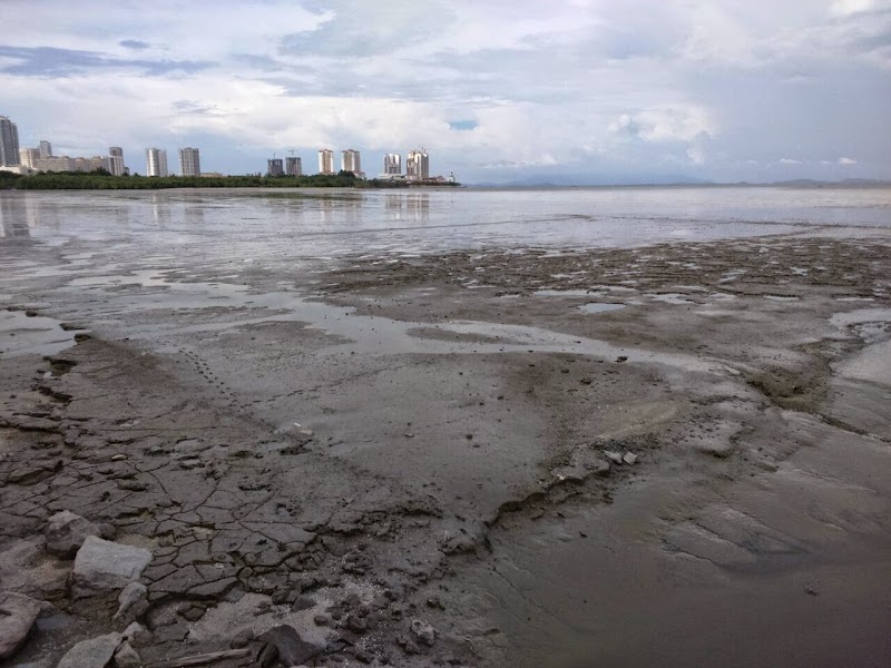 Konsep Top Pantai Berlumpur, Inspirasi Terpopuler!