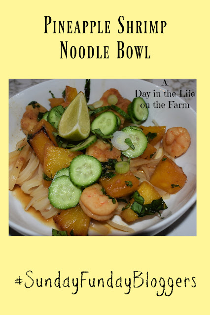 Pineapple Shrimp Noodle Bowl pin