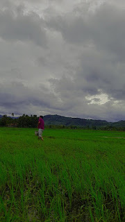 Petani pertanian