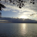 View album