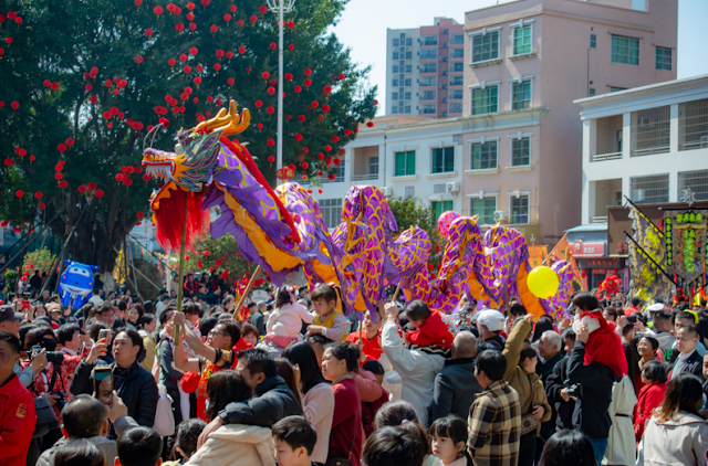 Hundreds of dragons and lions celebrate the New Year 2024, and the New Year flavor in Guangning County(Guangdong,China) is strong and strong